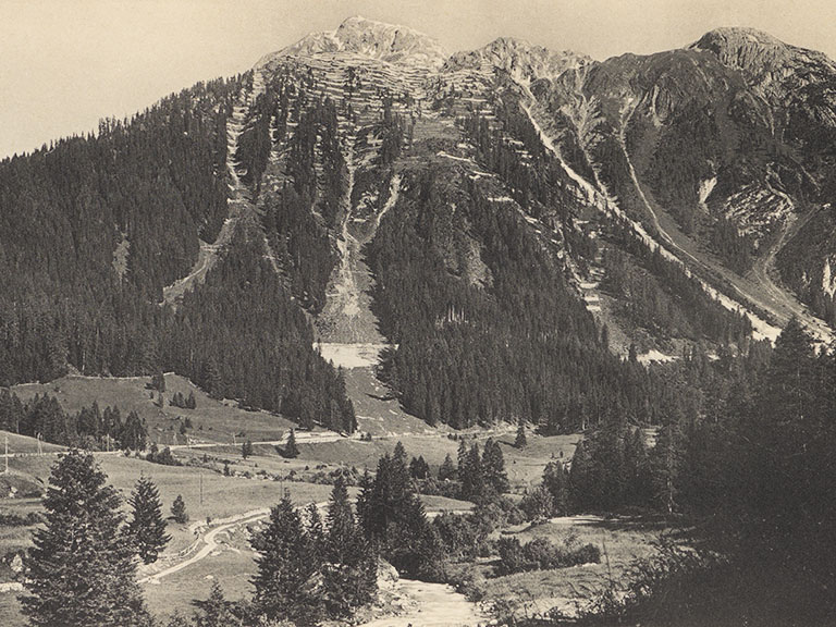 Statistik und Verbau der Lawinen in den Schweizeralpen