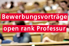 open rank Professur für ältere Schweizer Geschichte