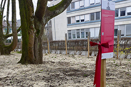 Ausstellung 150 JAhre Anna Tumarkin