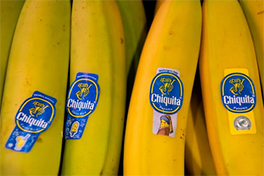 Chiquita Bananen