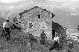 Heuernte in Cavaione um 1930: Männer, Frauen und Kinder bei der traditionellen Feldarbeit vor einem typischen Steinhaus des Bergdorfs.