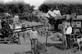 Bauern bei der Arbeit