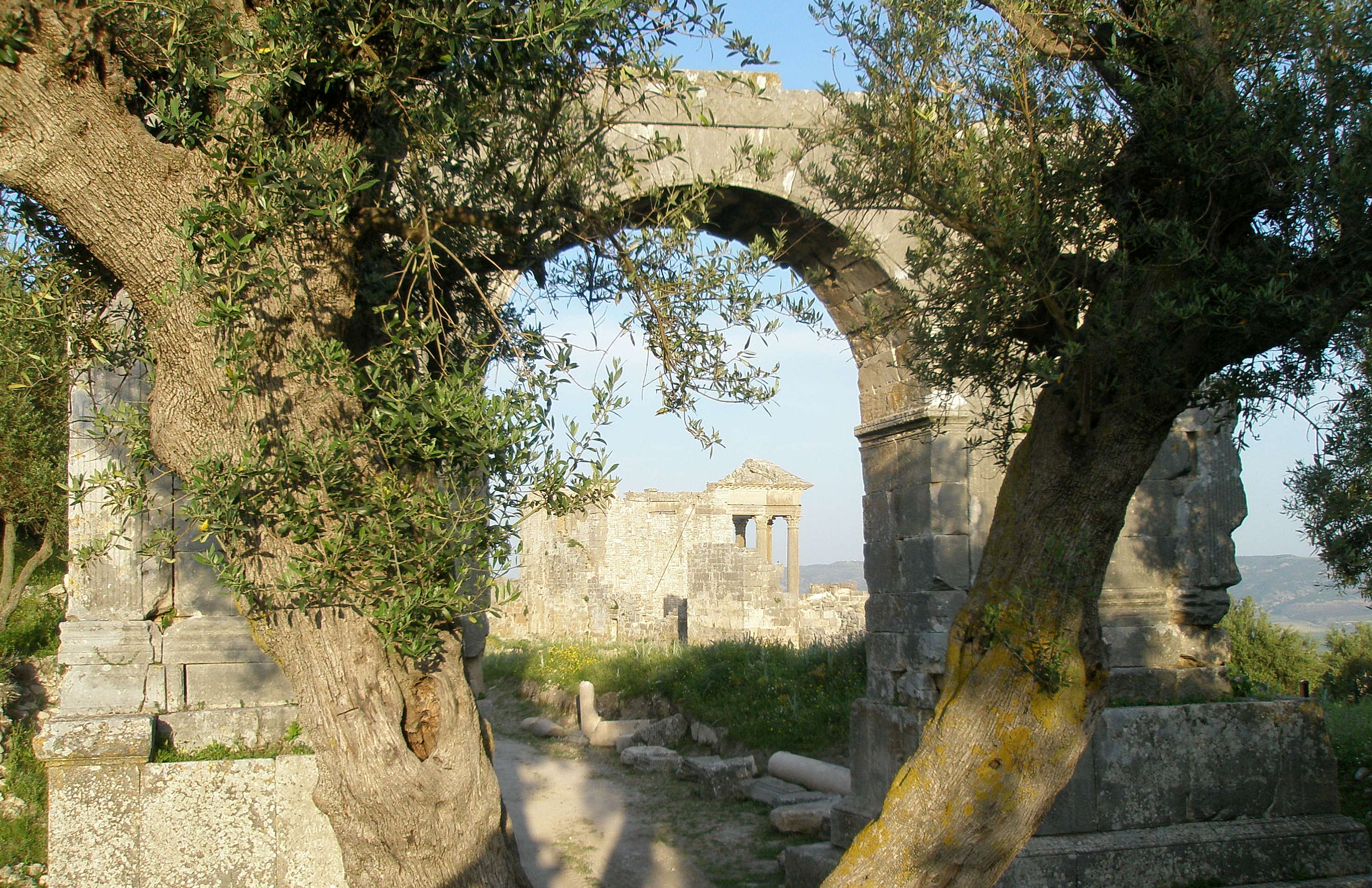 Dougga (Tunesien). Exkursion der Abt. Alte Geschichte