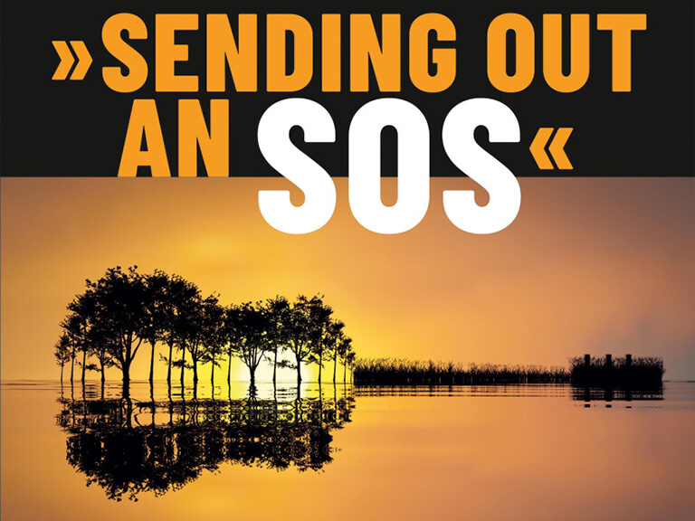 Cover «Sending Out an SOS»